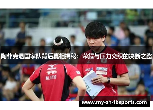 陶菲克退国家队背后真相揭秘：荣耀与压力交织的决断之路